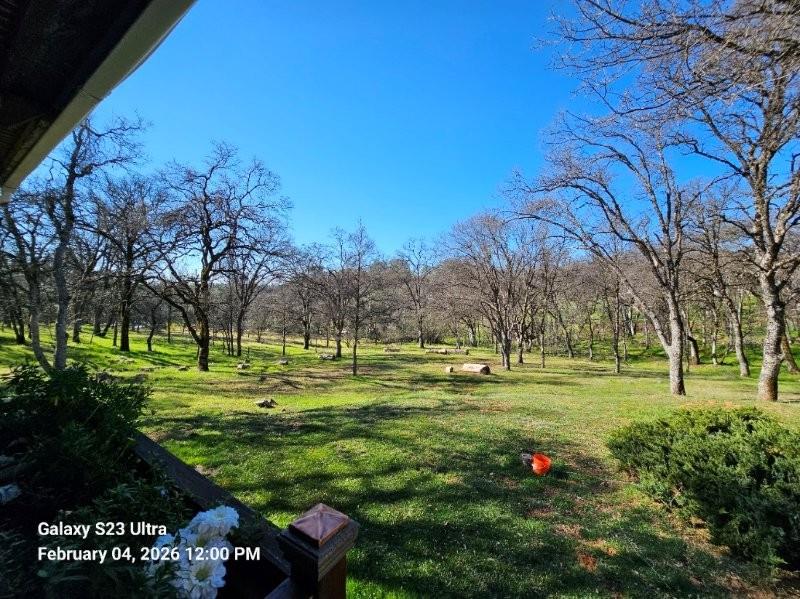 21540 Spring Ranches Road Grass Valley, CA 95949 - Photo 12 of 51