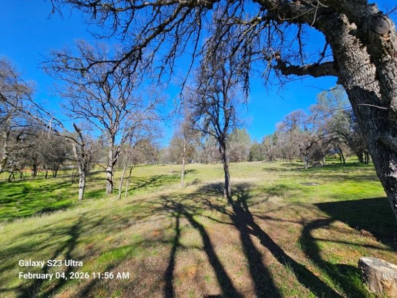 21540 Spring Ranches Road Grass Valley, CA 95949 - Photo 39 of 51