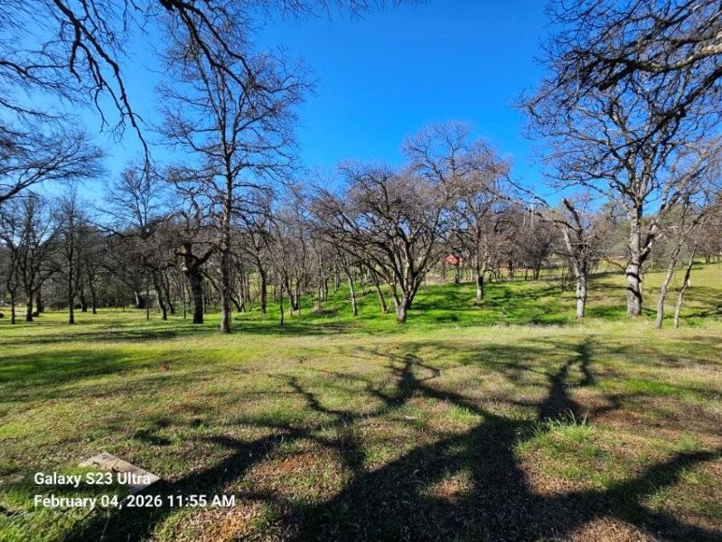 21540 Spring Ranches Road Grass Valley, CA 95949 - Photo 40 of 51