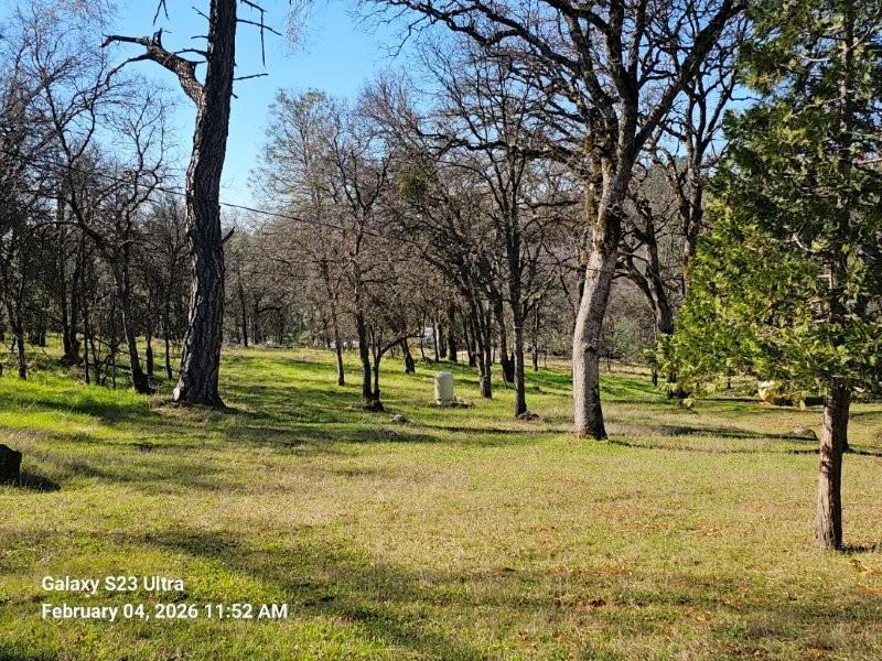 21540 Spring Ranches Road Grass Valley, CA 95949 - Photo 48 of 51