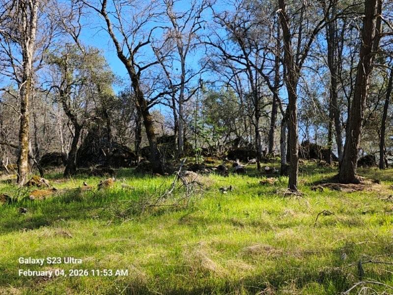 21540 Spring Ranches Road Grass Valley, CA 95949 - Photo 49 of 51