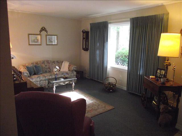 11540 Douglas Road Temperance, MI 48182 - Photo 9 of 20 Living Room