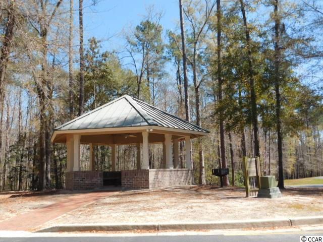 Lot 176 Woody Point Drive Murrells Inlet, SC 29576 - Photo 11 of 25 Gallery Image 11
