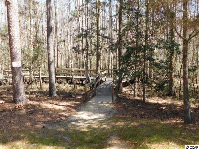 Lot 176 Woody Point Drive Murrells Inlet, SC 29576 - Photo 12 of 25 Gallery Image 12