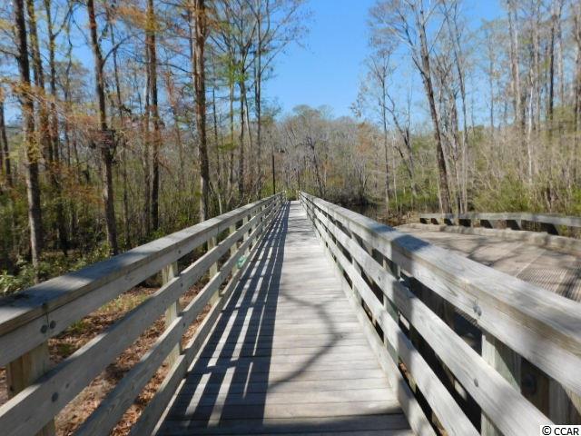 Lot 176 Woody Point Drive Murrells Inlet, SC 29576 - Photo 13 of 25 Gallery Image 13