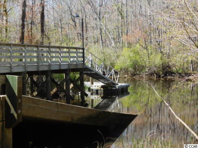 Lot 176 Woody Point Drive Murrells Inlet, SC 29576 - Photo 15 of 25 Gallery Image 15