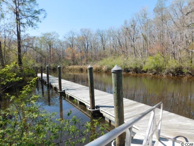 Lot 176 Woody Point Drive Murrells Inlet, SC 29576 - Photo 16 of 25 Gallery Image 16