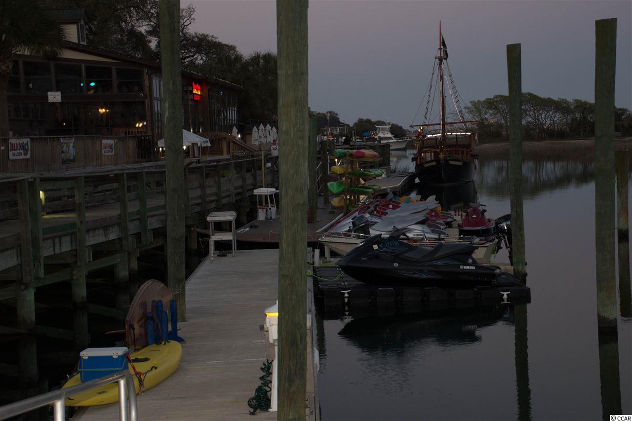 Lot 176 Woody Point Drive Murrells Inlet, SC 29576 - Photo 19 of 25 Gallery Image 19