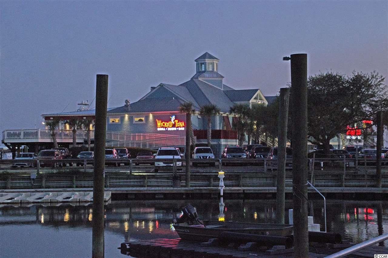 Lot 176 Woody Point Drive Murrells Inlet, SC 29576 - Photo 20 of 25 Gallery Image 20