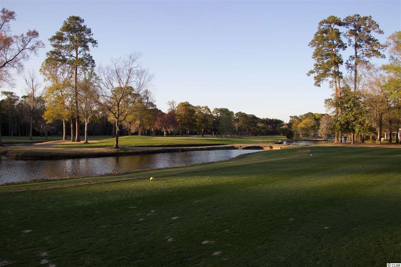 Lot 176 Woody Point Drive Murrells Inlet, SC 29576 - Photo 21 of 25 Gallery Image 21