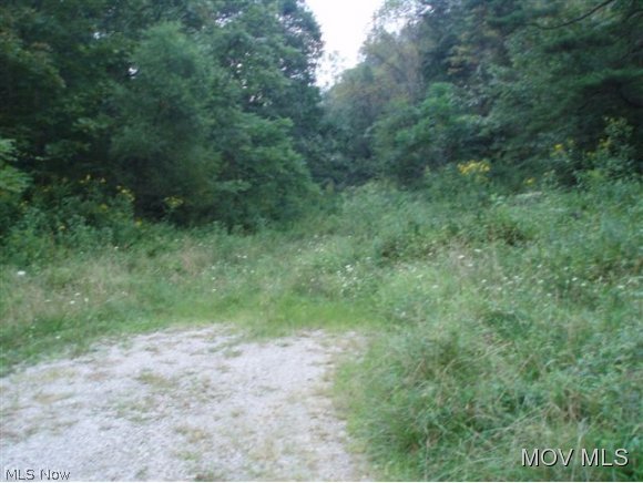 Lot 4 Frontage