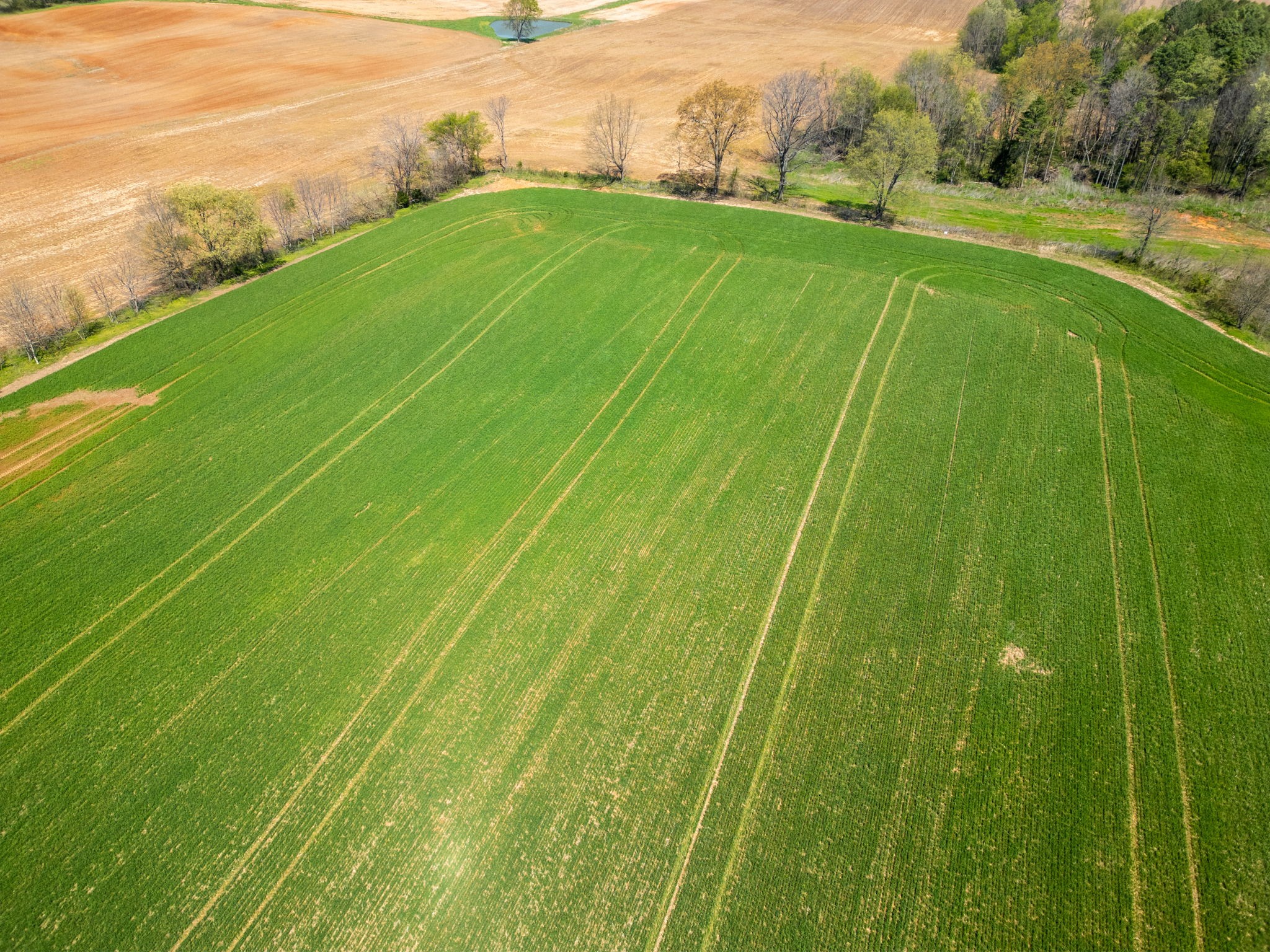 30 North Garrett Road Springfield, TN 37172 - Photo 12 of 13 a view of a golf course with a garden