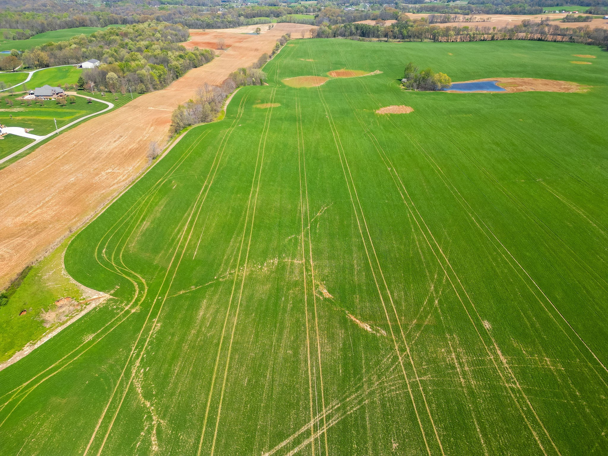 30 North Garrett Road Springfield, TN 37172 - Photo 7 of 13 a view of a garden from a balcony