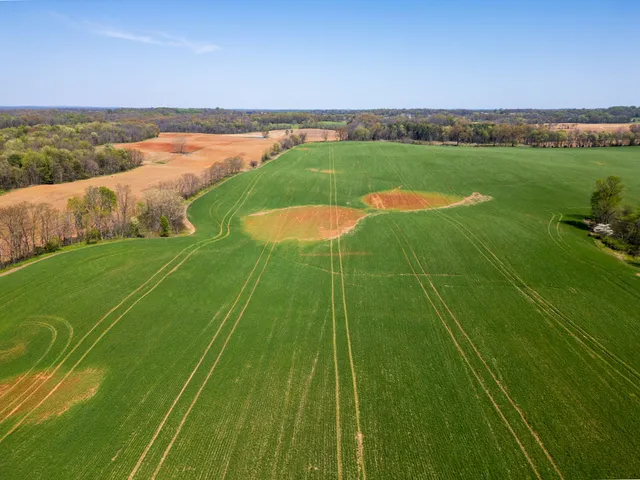 a view of a golf course with a lake