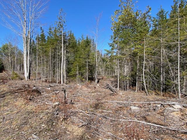 0 Bud Grant Road Monroe, ME 04951 - Photo 10 of 17 IMG_2712