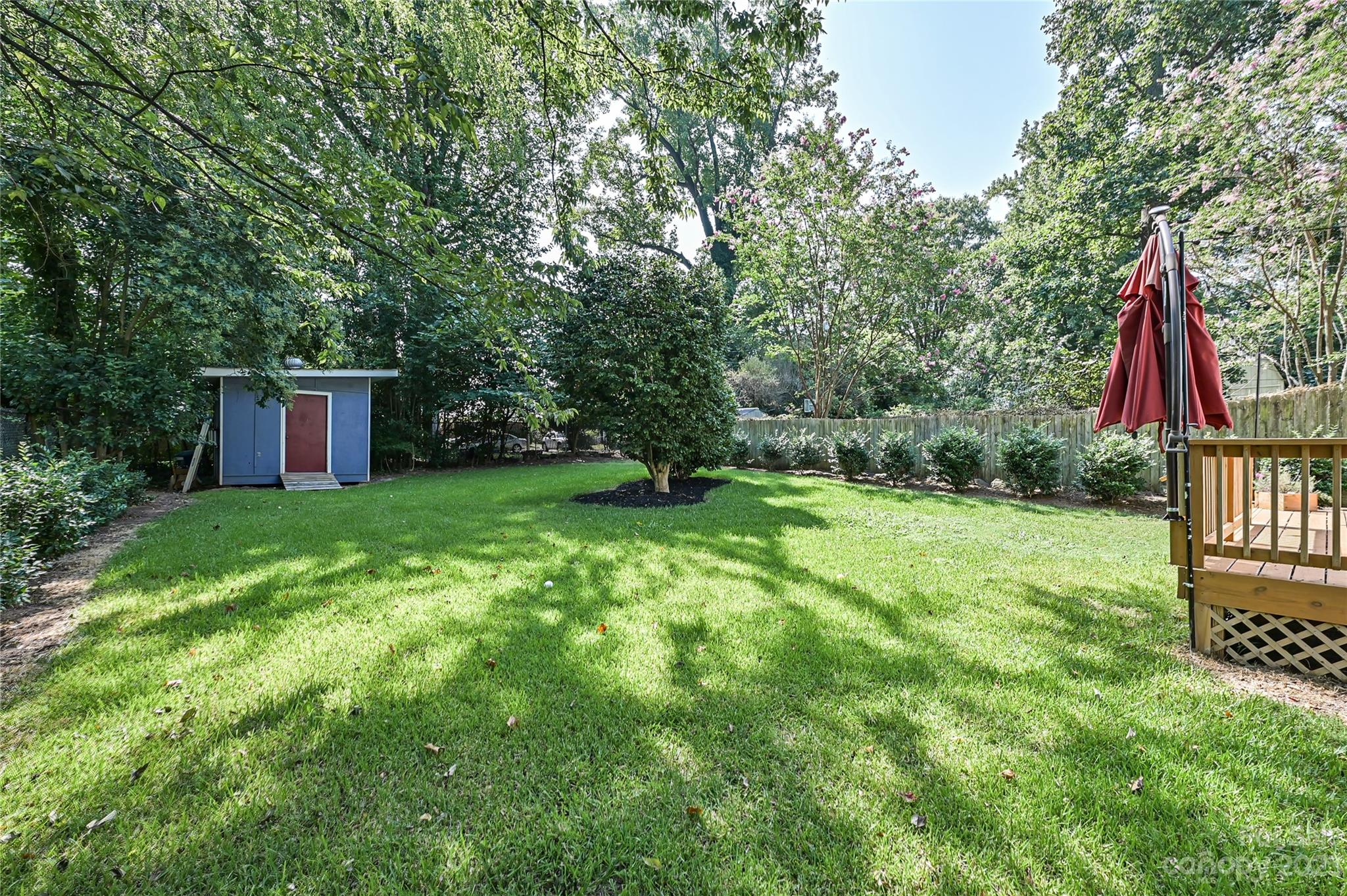 4609 Murrayhill Road Charlotte, NC 28209 - Photo 32 of 38 a view of a house with backyard and a tree