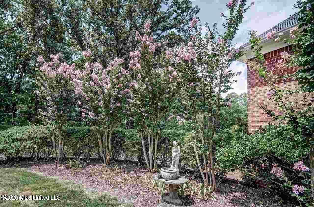 307 Warwick Road Clinton, MS 39056 - Photo 3 of 51 20230123162930752774000000-o