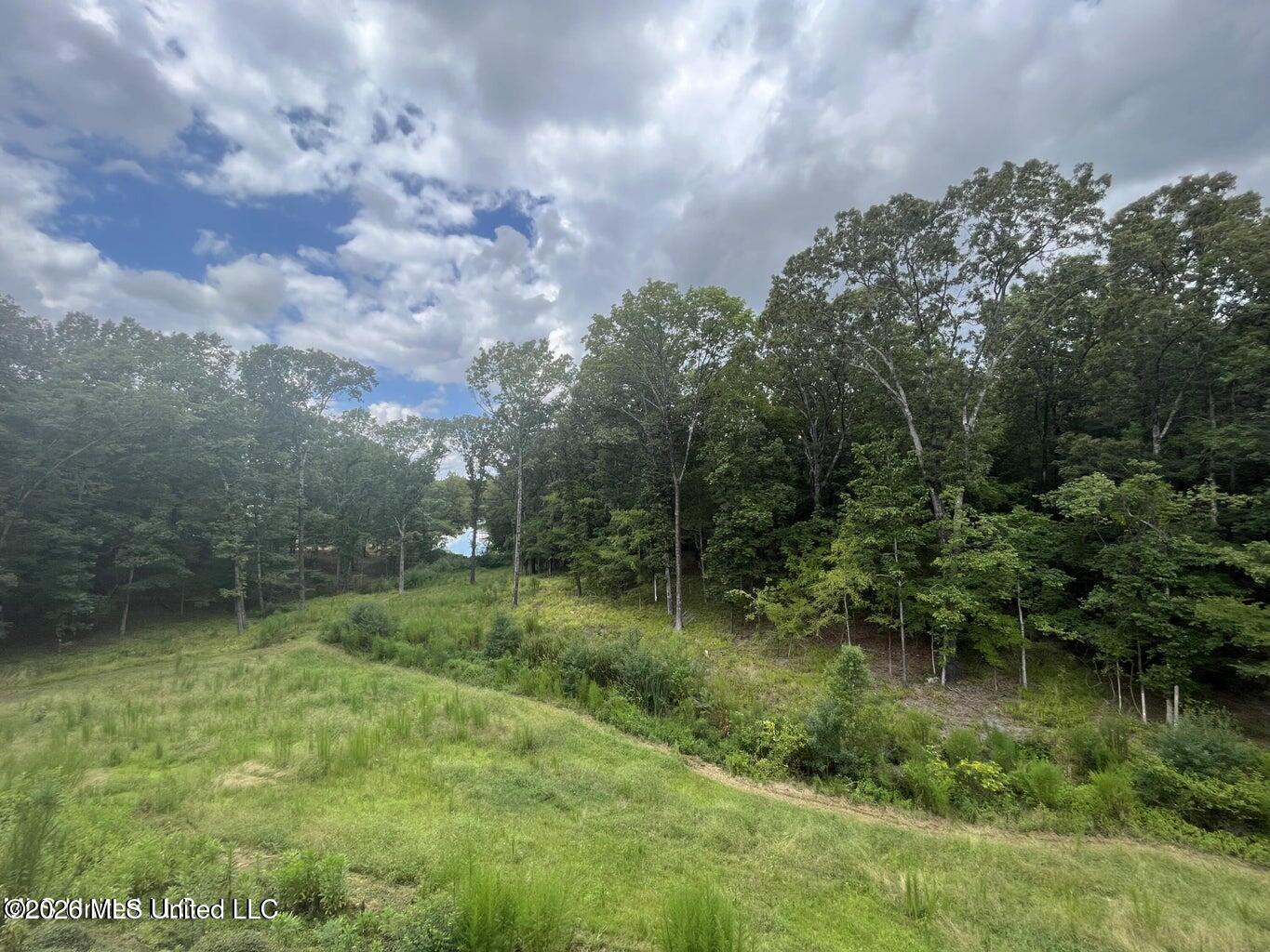 307 Warwick Road Clinton, MS 39056 - Photo 51 of 51 20230123162934137068000000-o