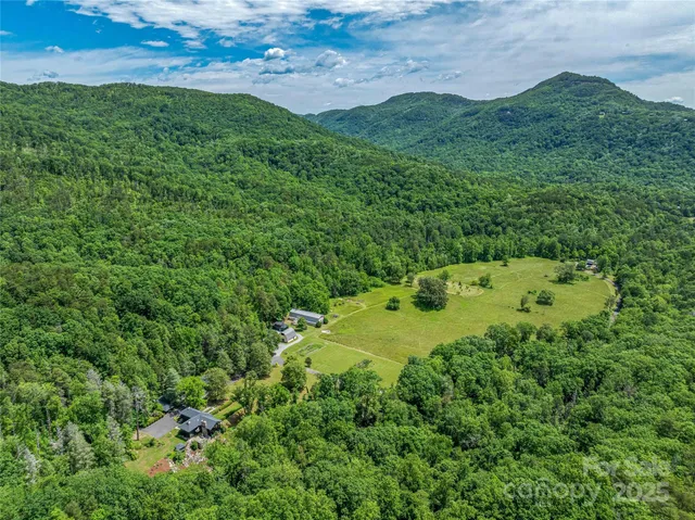 a view of a big yard with lots of green space and mountain view in back