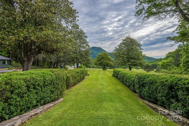 a view of a yard with large trees