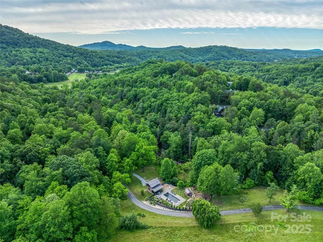 a view of a lush green forest with houses in the back