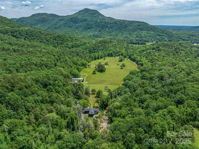 a view of a lush green forest with a houses