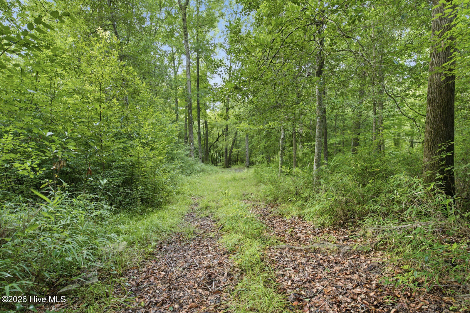 857 Mill River Road Jacksonville, NC 28540 - Photo 9 of 30