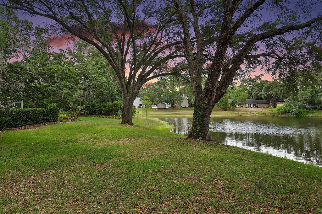 33746 Spring Drive Leesburg, FL 34788 - Photo 3 of 63