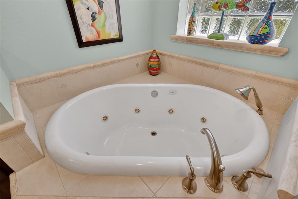 33746 Spring Drive Leesburg, FL 34788 - Photo 34 of 63