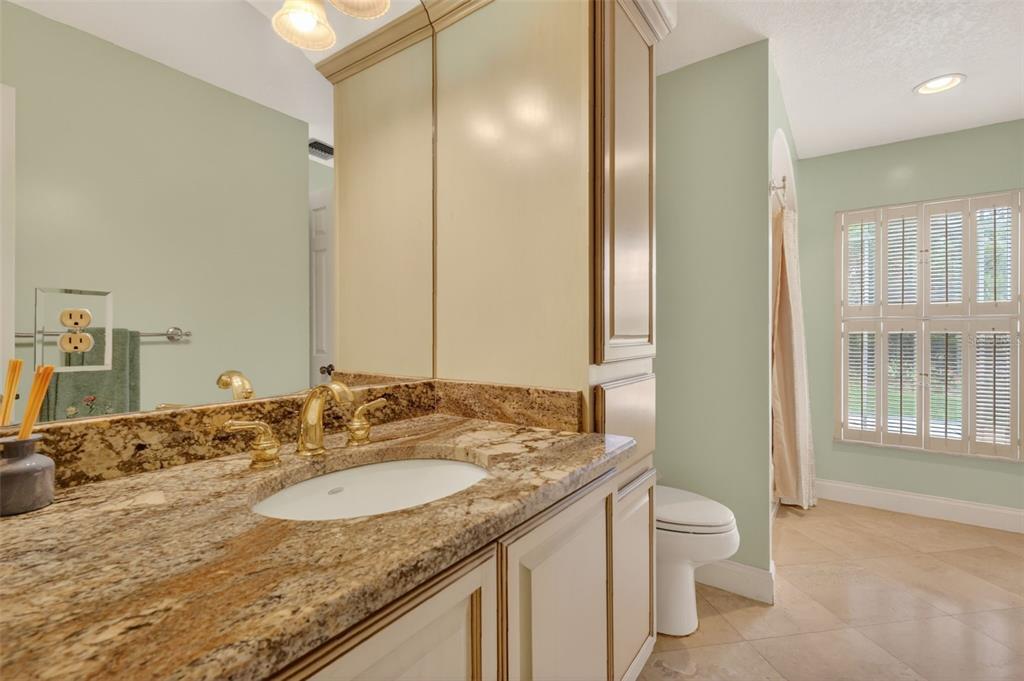 33746 Spring Drive Leesburg, FL 34788 - Photo 41 of 63