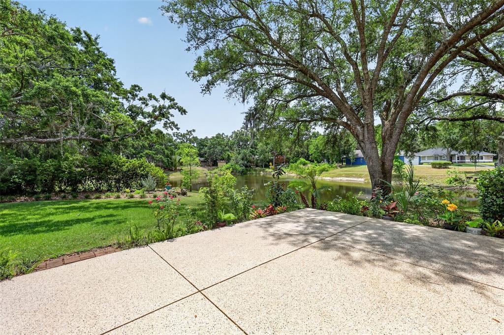 33746 Spring Drive Leesburg, FL 34788 - Photo 54 of 63