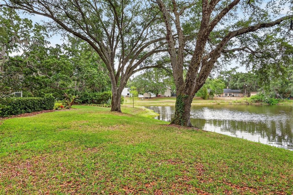 33746 Spring Drive Leesburg, FL 34788 - Photo 55 of 63