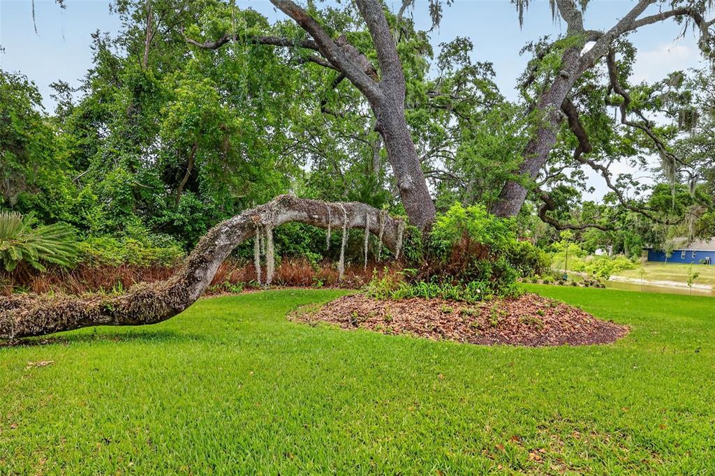 33746 Spring Drive Leesburg, FL 34788 - Photo 60 of 63