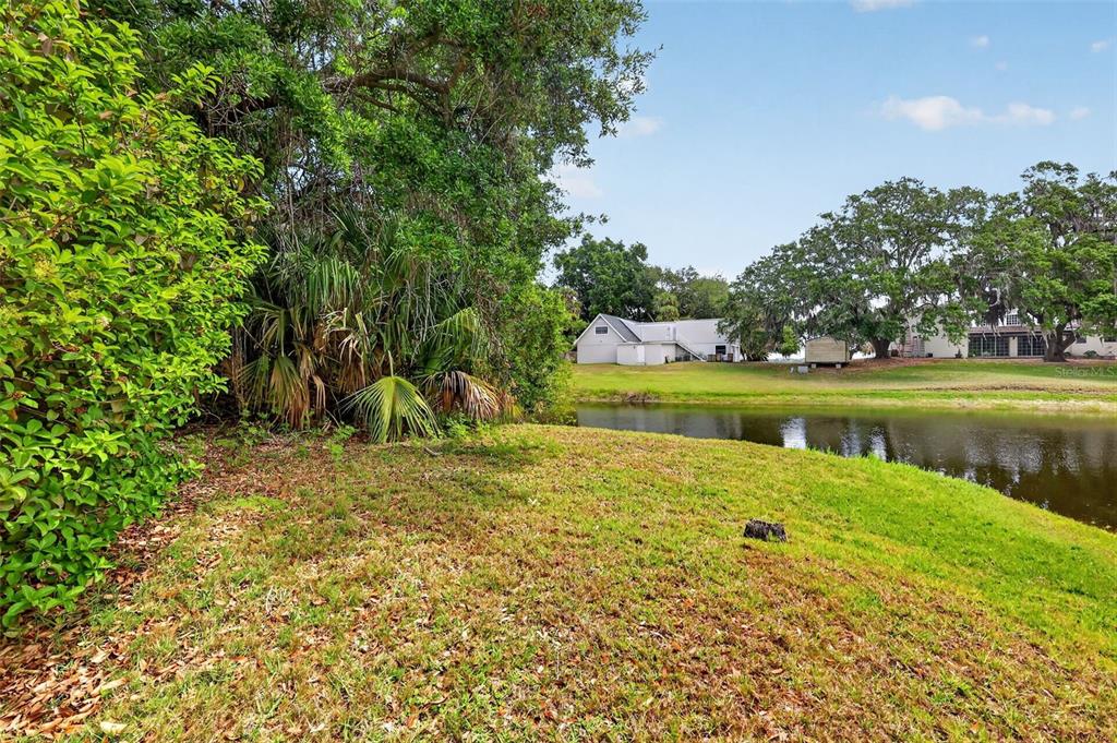33746 Spring Drive Leesburg, FL 34788 - Photo 61 of 63