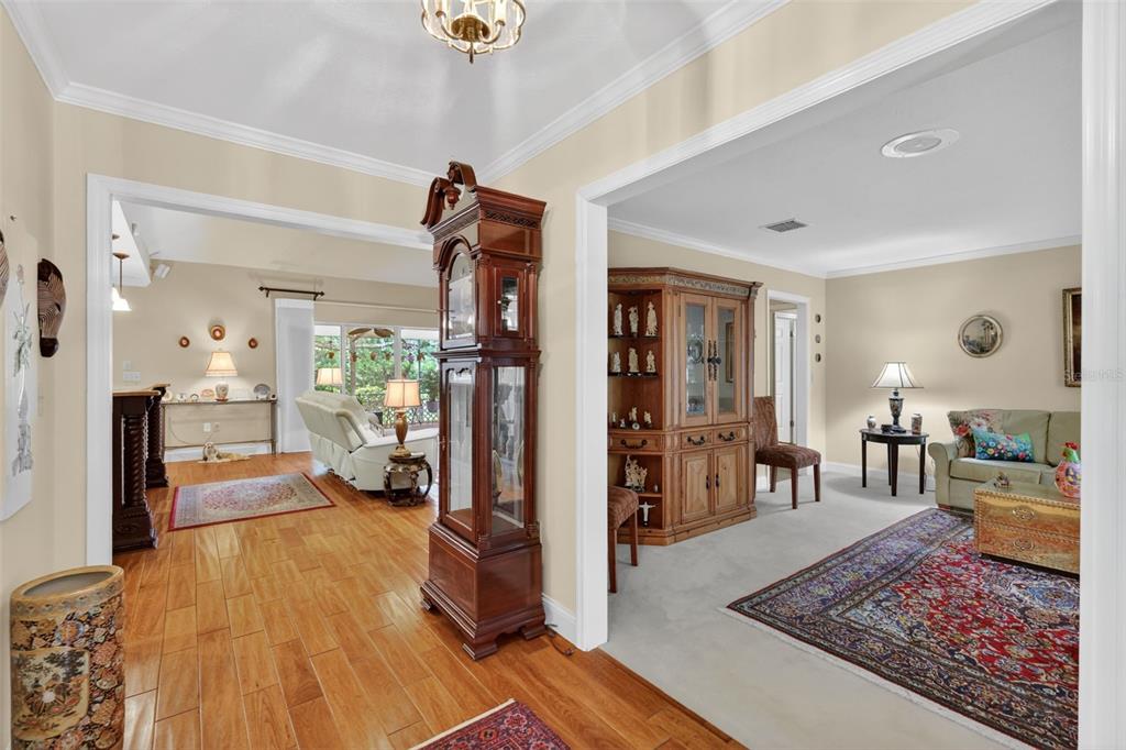 33746 Spring Drive Leesburg, FL 34788 - Photo 8 of 63