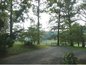 401 Mitchell Road Kingsport, TN 37663 - Photo 5 of 24 View From Driveway