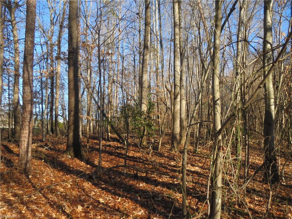0 CC Camp Road Elkin, NC 28621 - Photo 11 of 13 Gallery Image 11