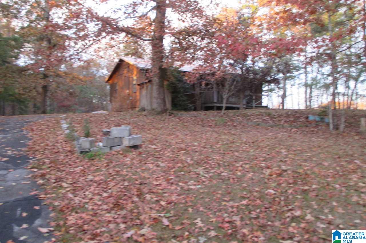 1055 Sullivan Lane Springville, AL 35146 - Photo 1 of 13