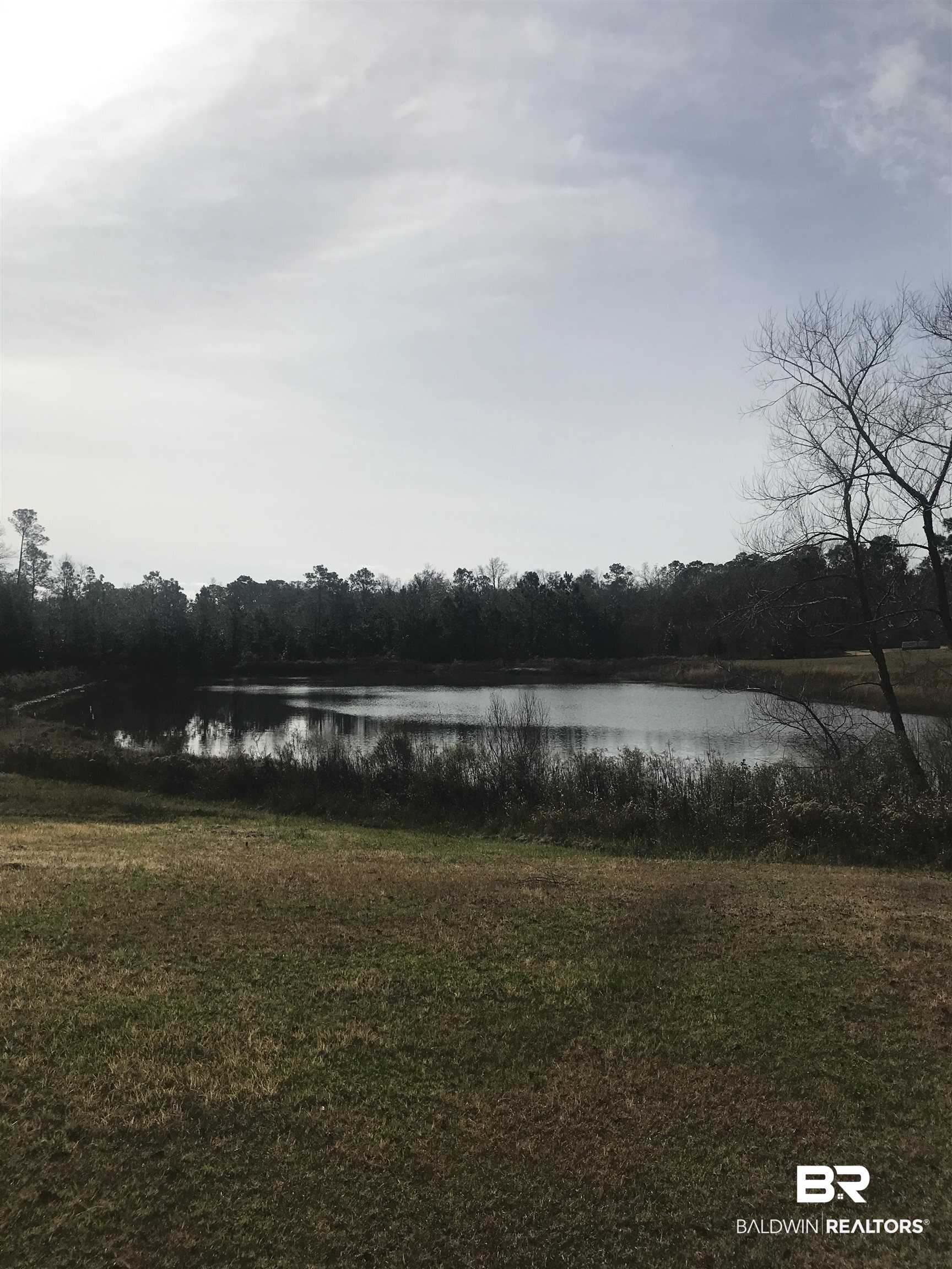 0 Steadham Lane Robertsdale, AL 36567 - Photo 19 of 24