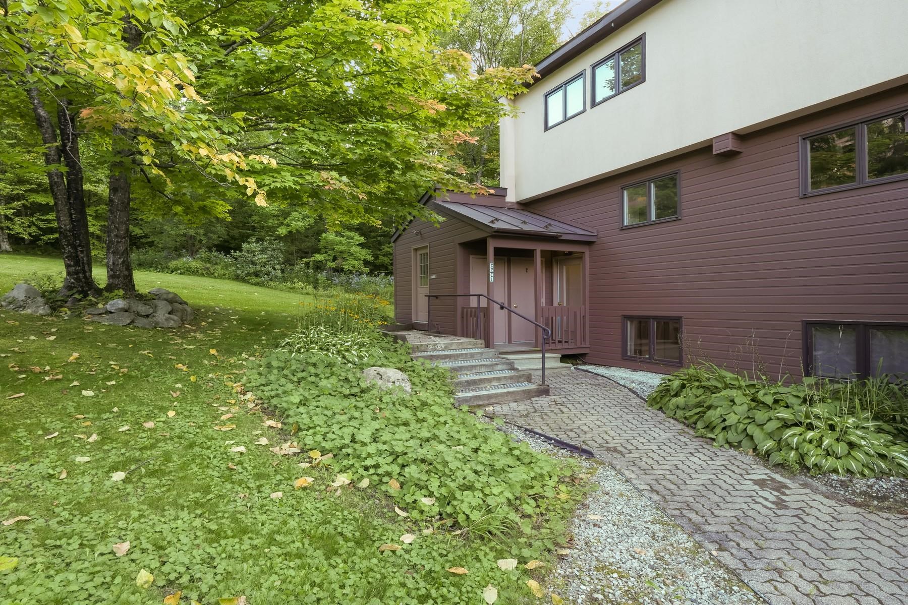 768 East Mountain Road, Unit C1 Killington, VT 05751 - Photo 6 of 23 Gallery Image 6