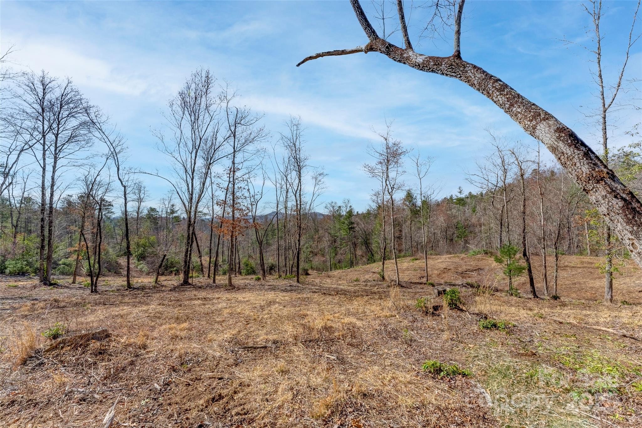 Lot 3 Walnut Hollow Road Brevard, NC 28712 - Photo 13 of 29 Gallery Image 13