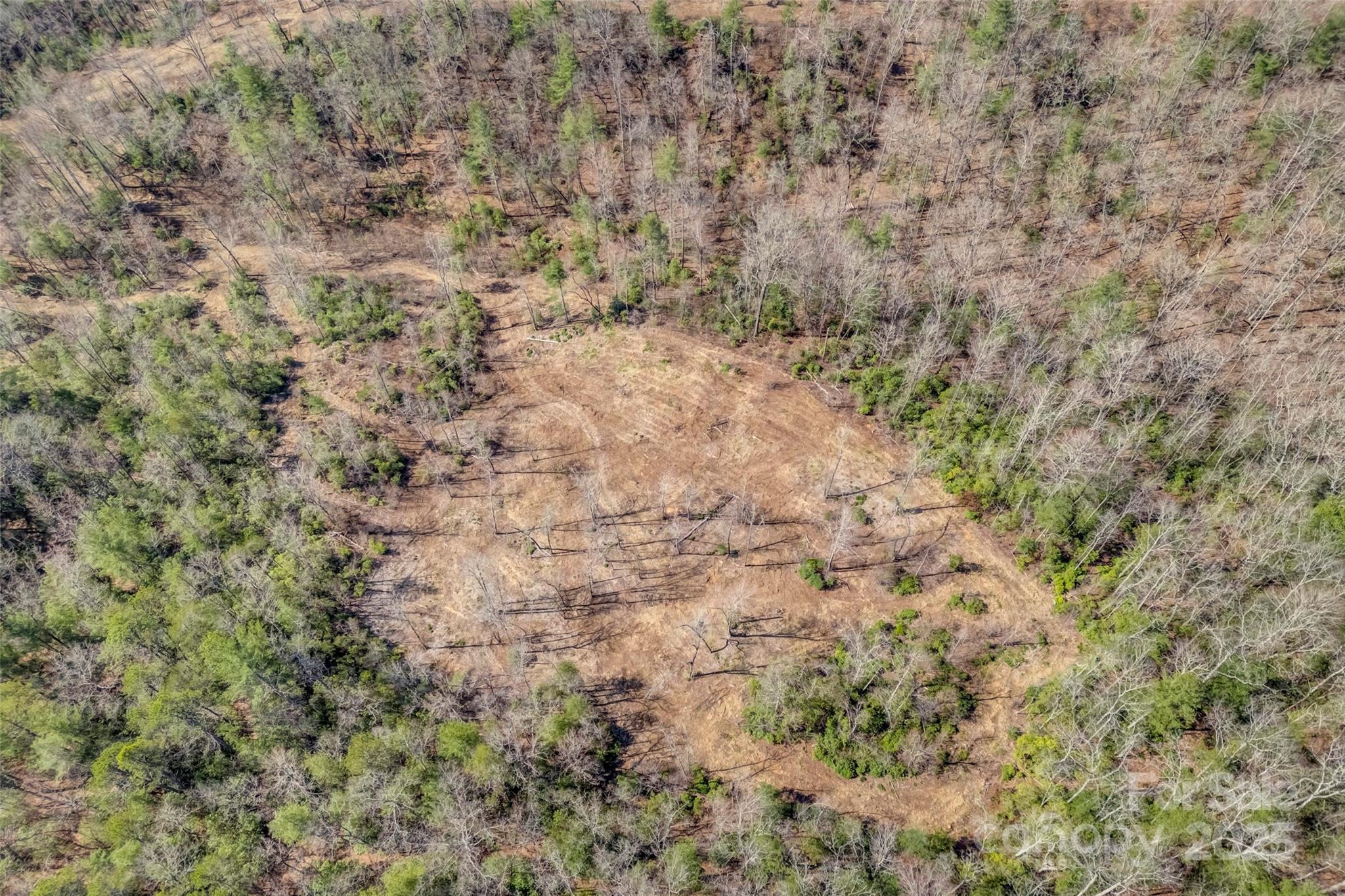 Lot 3 Walnut Hollow Road Brevard, NC 28712 - Photo 26 of 29 Gallery Image 26