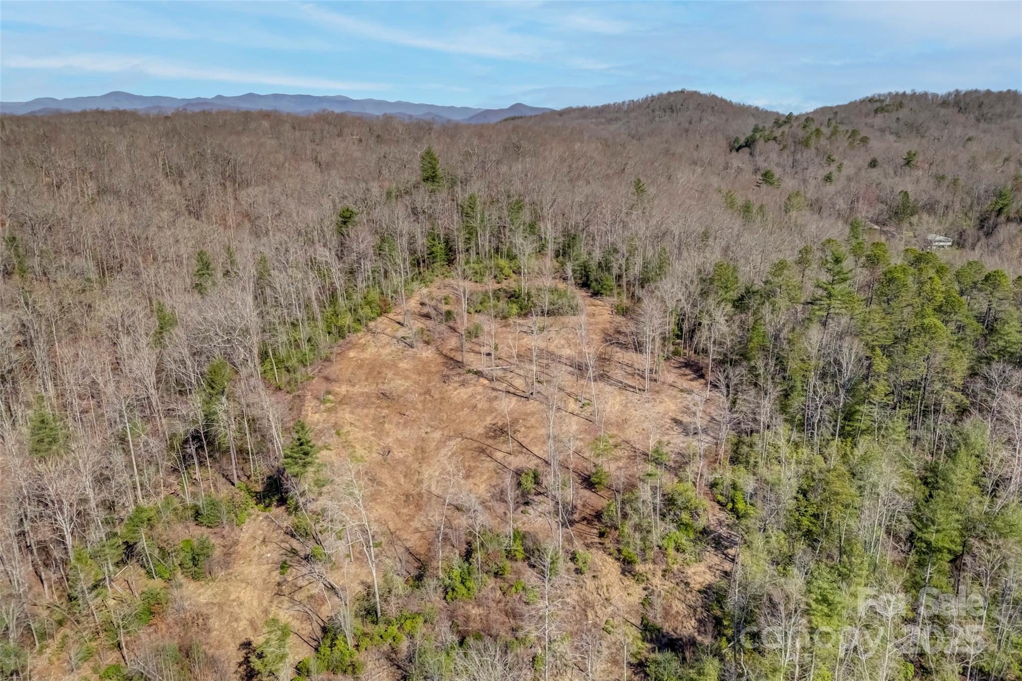 Lot 3 Walnut Hollow Road Brevard, NC 28712 - Photo 27 of 29 Gallery Image 27
