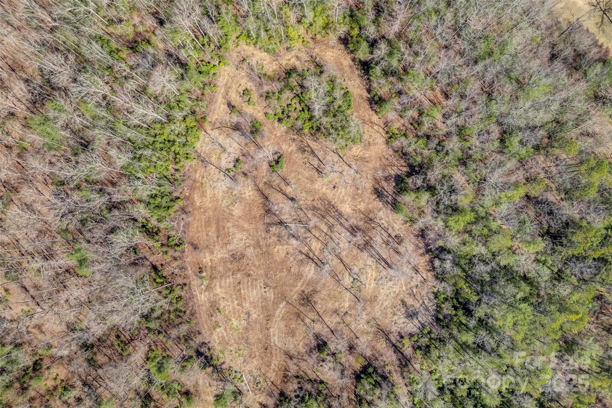 Lot 3 Walnut Hollow Road Brevard, NC 28712 - Photo 29 of 29 Gallery Image 29