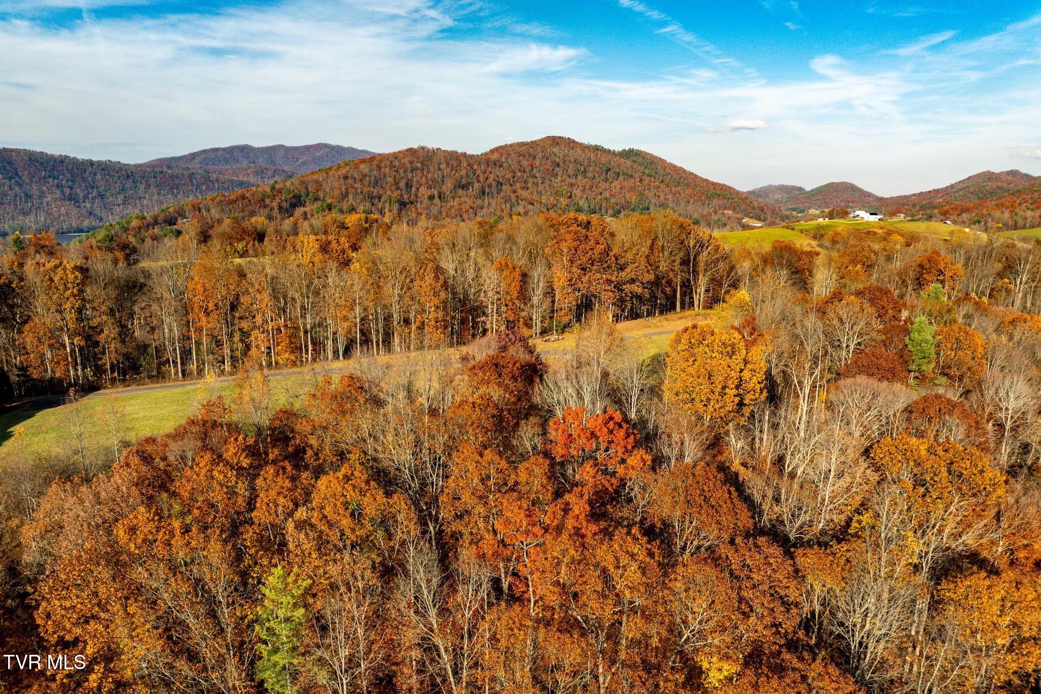 Lot 51 Redbud Circle, Unit 51 Butler, TN 37640 - Photo 20 of 31 Lot 51Eagle Ridge (20 of 27)