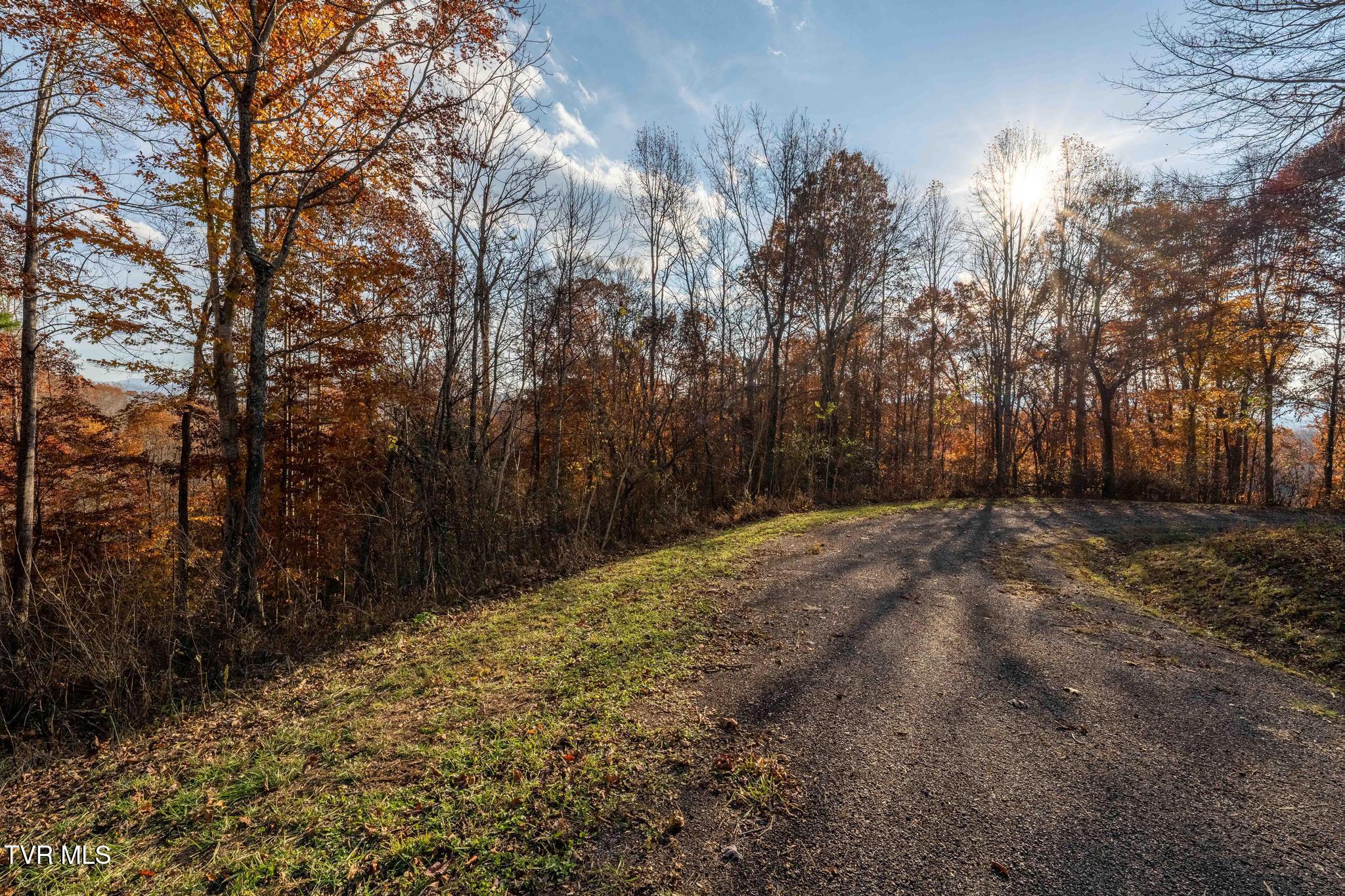 Lot 51 Redbud Circle, Unit 51 Butler, TN 37640 - Photo 22 of 31 Lot 51Eagle Ridge (22 of 27)
