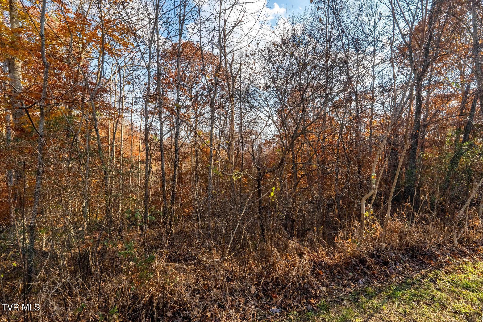 Lot 51 Redbud Circle, Unit 51 Butler, TN 37640 - Photo 23 of 31 Lot 51Eagle Ridge (23 of 27)