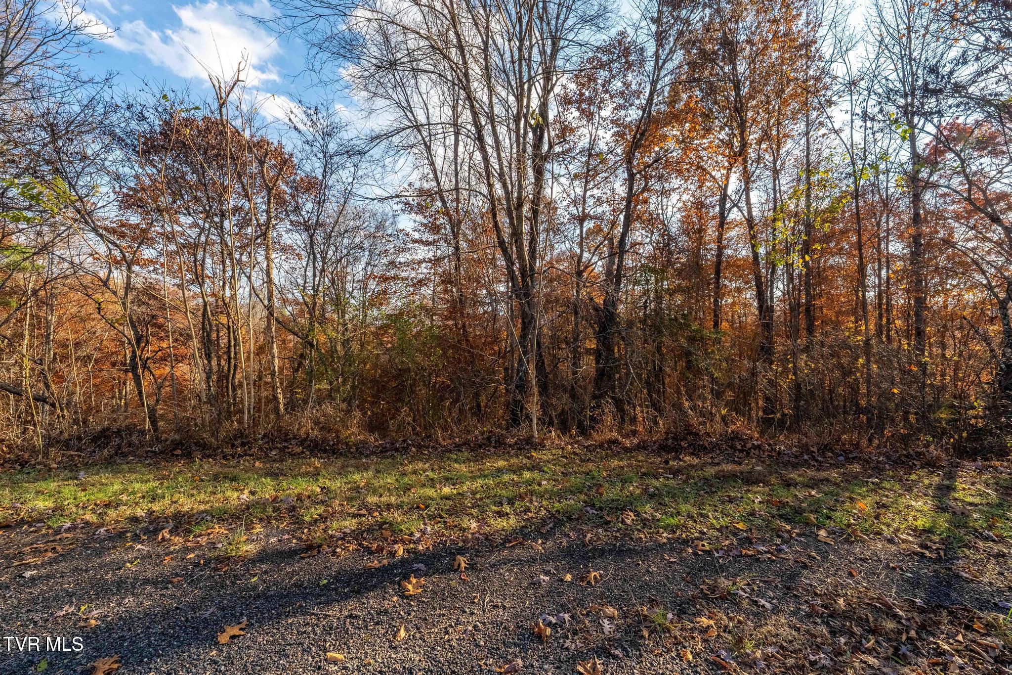 Lot 51 Redbud Circle, Unit 51 Butler, TN 37640 - Photo 24 of 31 Lot 51Eagle Ridge (24 of 27)