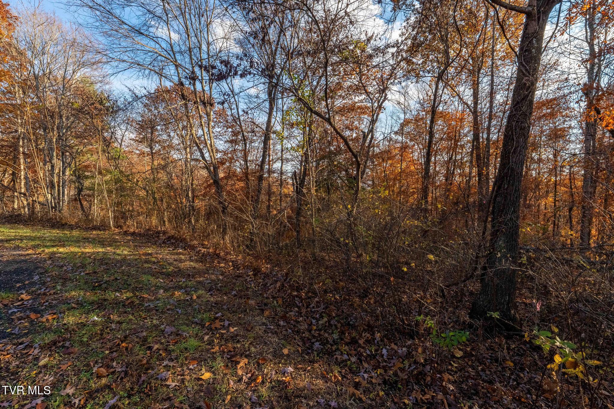 Lot 51 Redbud Circle, Unit 51 Butler, TN 37640 - Photo 25 of 31 Lot 51Eagle Ridge (25 of 27)