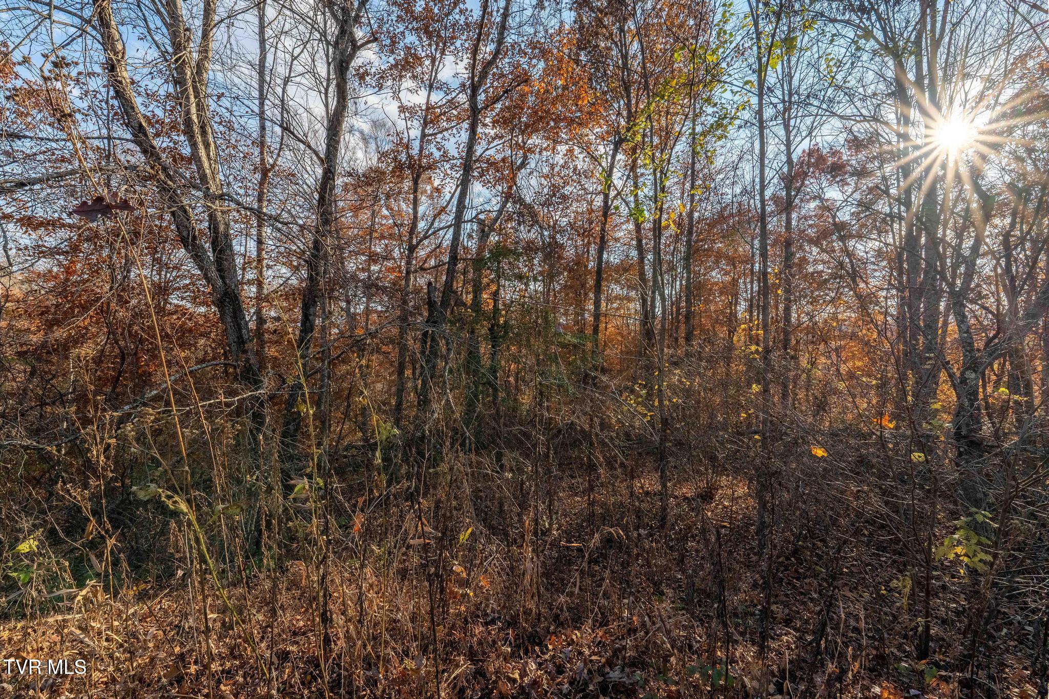 Lot 51 Redbud Circle, Unit 51 Butler, TN 37640 - Photo 26 of 31 Lot 51Eagle Ridge (26 of 27)
